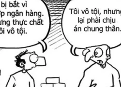 Vô tội vẫn bị tù chung thân