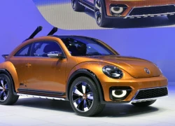 Volkswagen Beetle Dune 2014 - con bọ biến hình