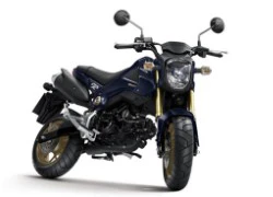 Xe côn tay Honda MSX125 thêm màu mới