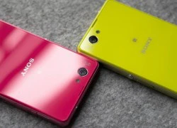 Xperia Z1 Compact sẽ không bán ở Việt Nam