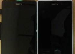 Xuất hiện loạt ảnh so dáng Xperia "bí ẩn" và Xperia Z1