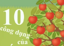 10 công dụng của giấm táo