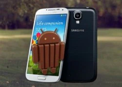 1,8% người dùng thiết bị Android cài đặt KitKat