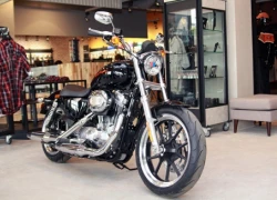 883 Superlow 2014 - Harley cho người mới chơi