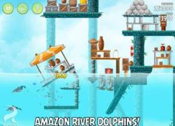 Angry Birds Rio cập nhật nhiều màn chơi mới