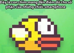 Ảnh chế chim Flappy Bird tràn ngập Facebook tuần này