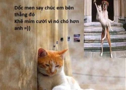 Ảnh chế về thất tình (phần 1)