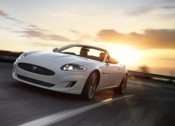 &#8216;Báo gấm&#8217; Jaguar XK Dynamic R Edition 2014