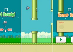 Báo Tây xin lỗi vì đã chỉ trích Flappy Bird