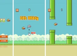 Bi hài xung quanh chú chim 'gây bão' Flappy Birds