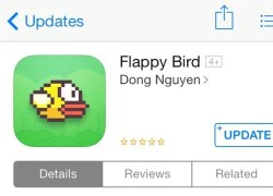 Câu chuyện cổ tích Flappy Bird được viết như thế nào?