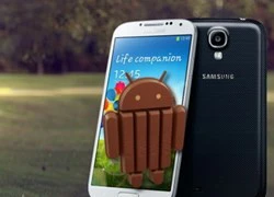 Chưa tới 2% người dùng thiết bị Android cài đặt KitKat