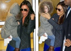 Công chúa Harper Seven Beckham co ro trong gió lạnh