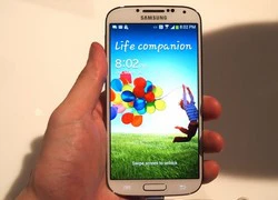 Galaxy S5 được trang bị 2 loại màn hình khác nhau