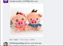 Game thủ Peta City thi nhau thả... gấu