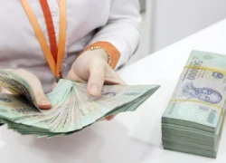 Gói 30.000 tỷ đồng: Mới giải ngân gần 1.100 tỷ đồng