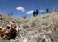 Hàng trăm thi thể cháy thui ở biên giới Mỹ, Mexico