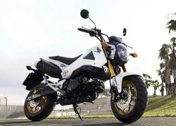 Honda trình làng xe côn tay MSX125 phiên bản mới