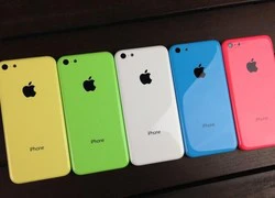 iPhone 5c có thể bị khai tử khi iPhone 6 ra mắt