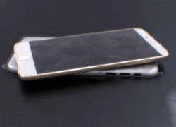 iPhone 6 màn hình lớn "lộ diện" với thiết kế mỏng