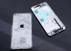 Lộ diện hình ảnh của iPhone 6?