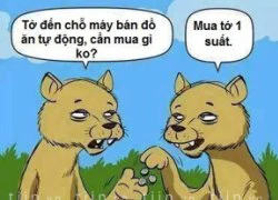 Lý do chia tay lãng xẹt