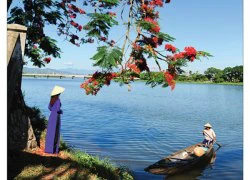 ... Mà sao không gọi đò