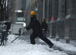 Mỹ, Nhật, Canada điêu đứng vì bão tuyết