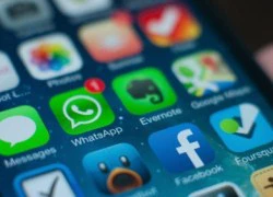 Nghi án Google cạnh tranh mua WhatsApp với Facebook