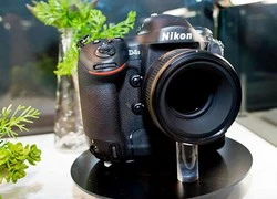 Nikon D4s sẽ ra mắt vào ngày 25/2