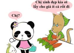 Nỗi khổ của gấu trúc