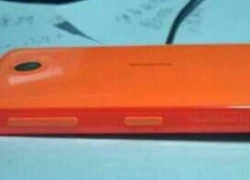 Nokia X (Normandy) thuộc dòng Asha, ra mắt vào tháng Ba