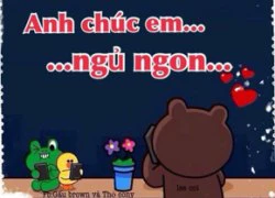 Siêu chế: Gấu Brown và thỏ Cony (P21)