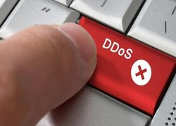 Tình báo Anh "trả đũa" hacker bằng DDoS