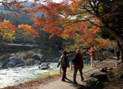 Tokyo &#8211; Thiên đường tuyệt sắc