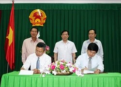 VNNIC giúp Cần Thơ phát triển tài nguyên Internet