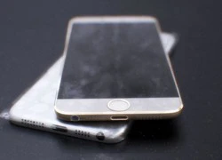 Xuất hiện ảnh được cho là của iPhone 6