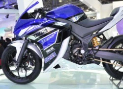 Yamaha R25 concept ra mắt tại Ấn Độ