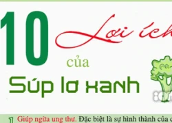 10 lợi ích thiết thực của Súp lơ xanh