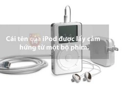 13 sự thật thú vị có thể bạn chưa biết về Apple