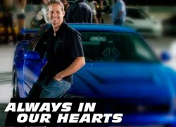 4 diễn viên sẽ đóng thế cho Paul Walker trong "Fast & Furious 7"