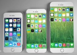 Apple bắt đầu đặt hàng sản xuất pin iPhone 6