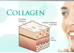 Bật mí về trẻ hóa da Collagen Nano