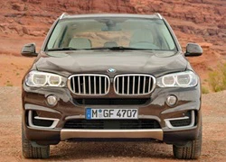 BMW tiếp tục chế tạo SUV cỡ lớn X7?