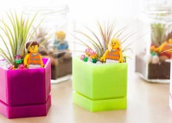 Búp bê lego tô điểm lọ cây cảnh