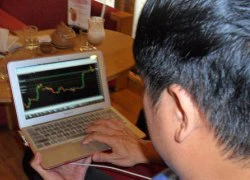 'Cú đêm' trên thị trường Forex