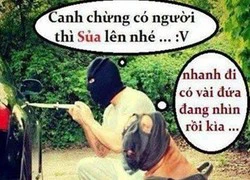 Cười ngất với những hình ảnh hài hước trong ngày