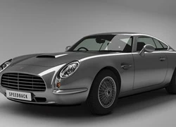 David Brown Speedback: Dành cho tình yêu bất diệt