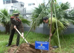 Hào hứng "Ngày thứ bảy tình nguyện"