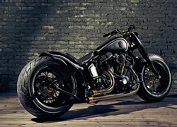 Harley-Davidson Softail Slim - hoang dã mà sang trọng